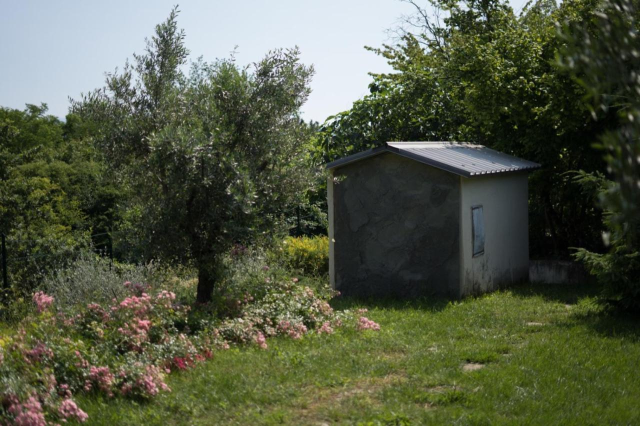 Villa Silvana - Apt Giulia & Michela With Terrace & Parking Perugia Exterior photo